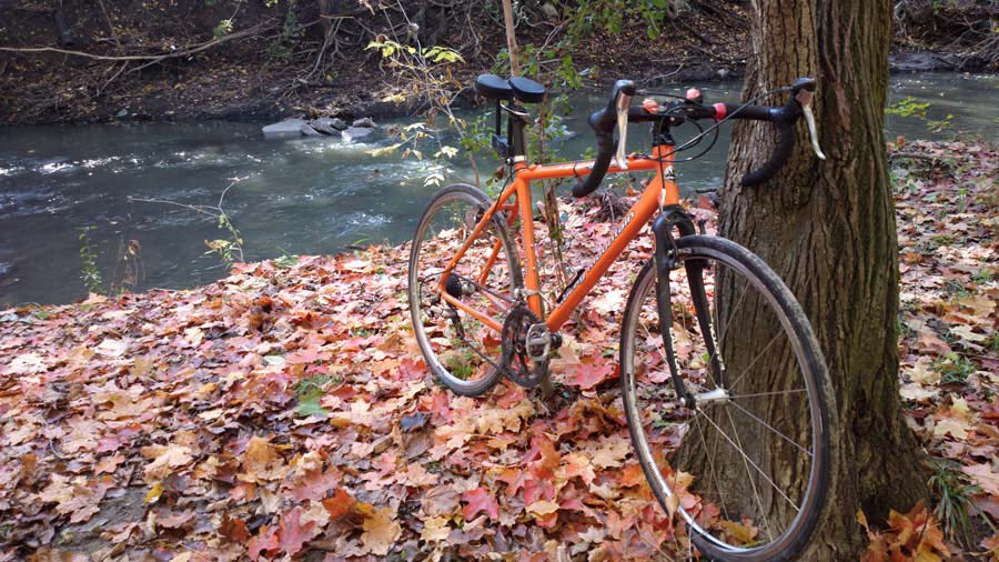 sponge city bike