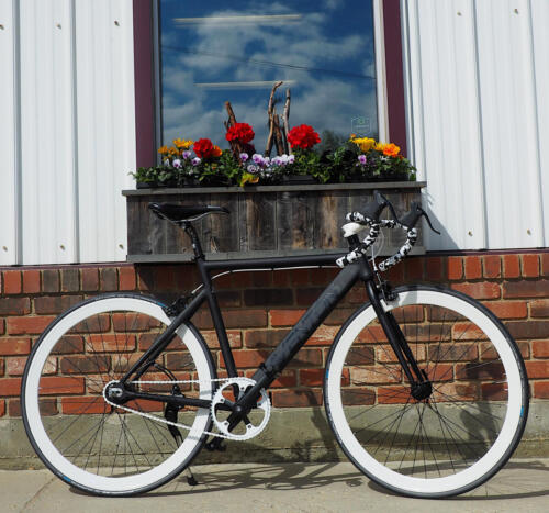 Aventon Cordoba 2-Speed Track bicycle